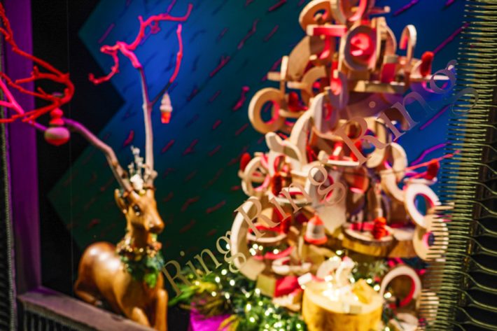 gsix_b2wd_Xmas_Woodland_Noel_R5